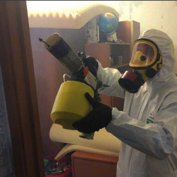 Уничтожение клопов в квартире. Комсомольская